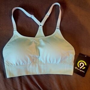 Champion Women's Sky Blue Sports Bra
